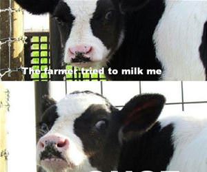 the farmer tried once funny picture