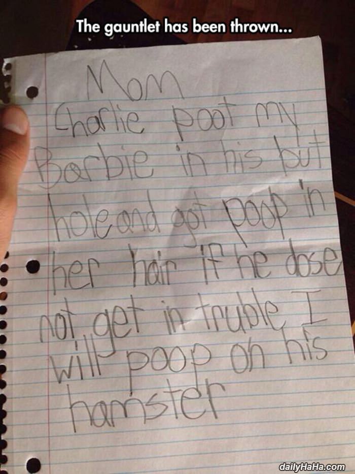 the gauntlet has been thrown funny picture