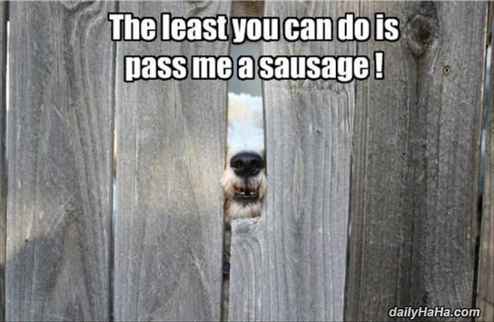 the least you can do funny picture