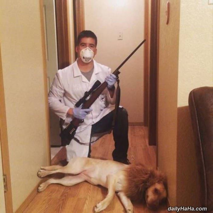 the lion hunter dentist costume funny picture