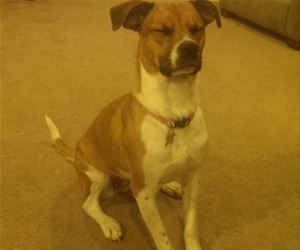 the look on her face funny picture