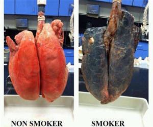 the main difference funny picture