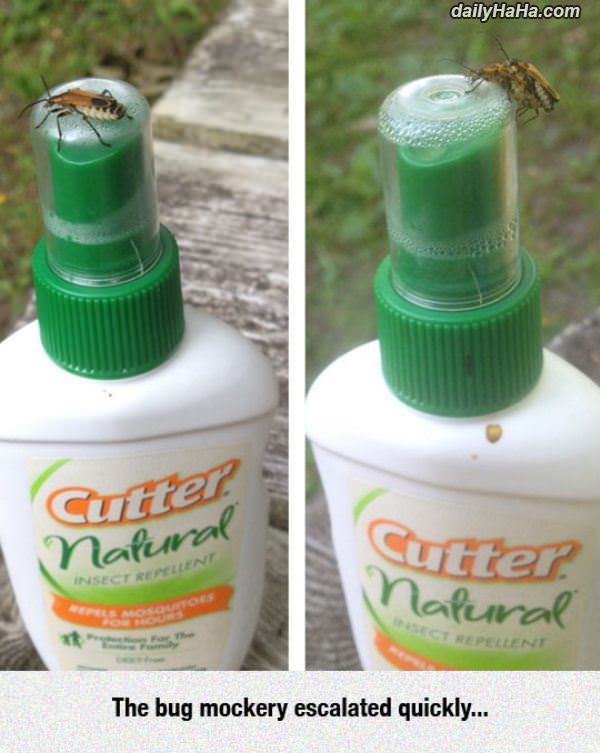 the mockery funny picture