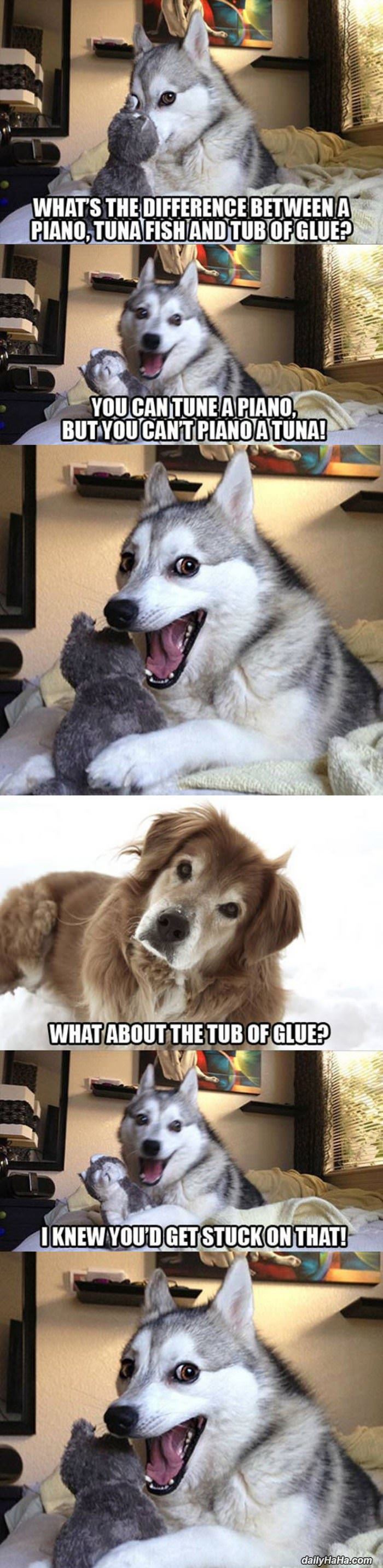 the pun dog funny picture