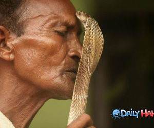 Insane Snake Kisser PIc