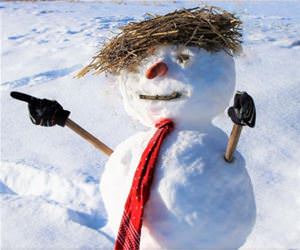 the trump snowman funny picture