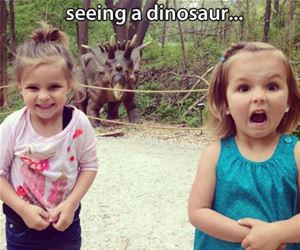 the two natural reactions funny picture