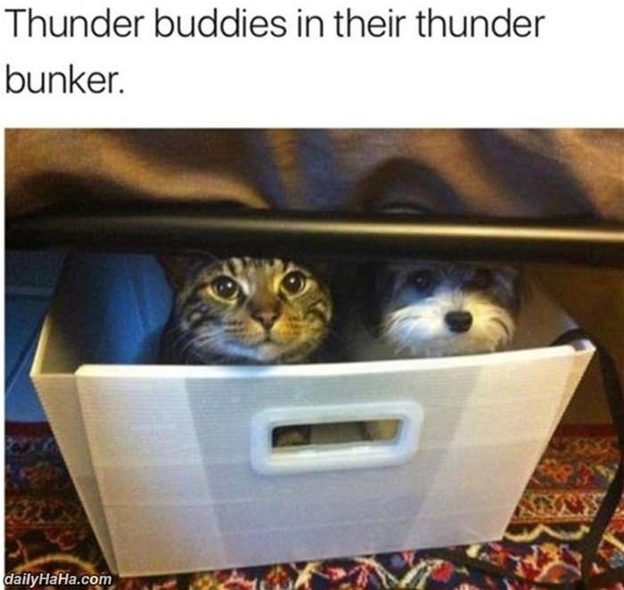their thunder bunker funny picture