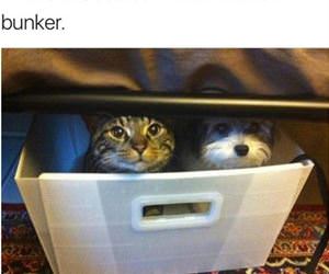 their thunder bunker funny picture