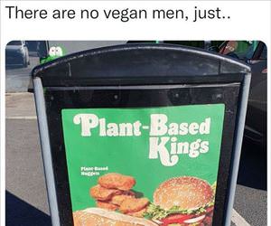 there are no vegan men