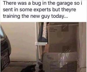 there was a bug in the garage