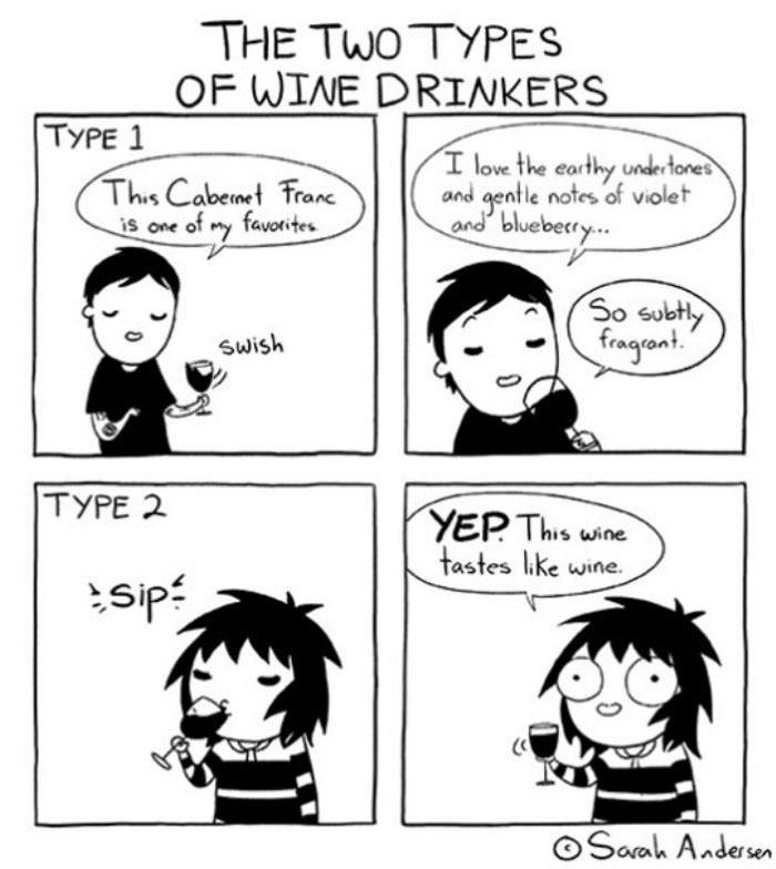 there are 2 types of wine drinkers funny picture