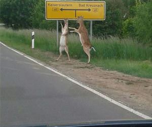 there are people coming funny picture