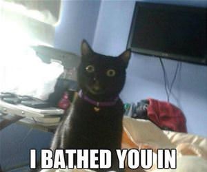 there is no need to shower human funny picture