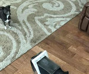 these doors are tricky