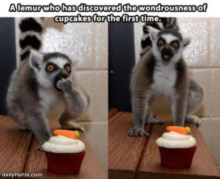 these cupcakes are amazing thanks funny picture