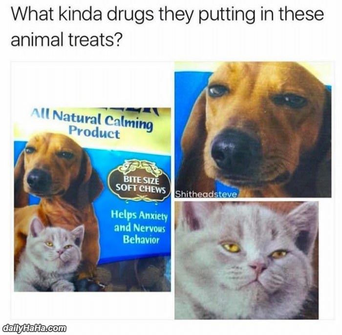 these special animal treats funny picture