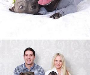 these super cute pitbulls funny picture