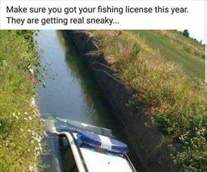 they are getting sneaky