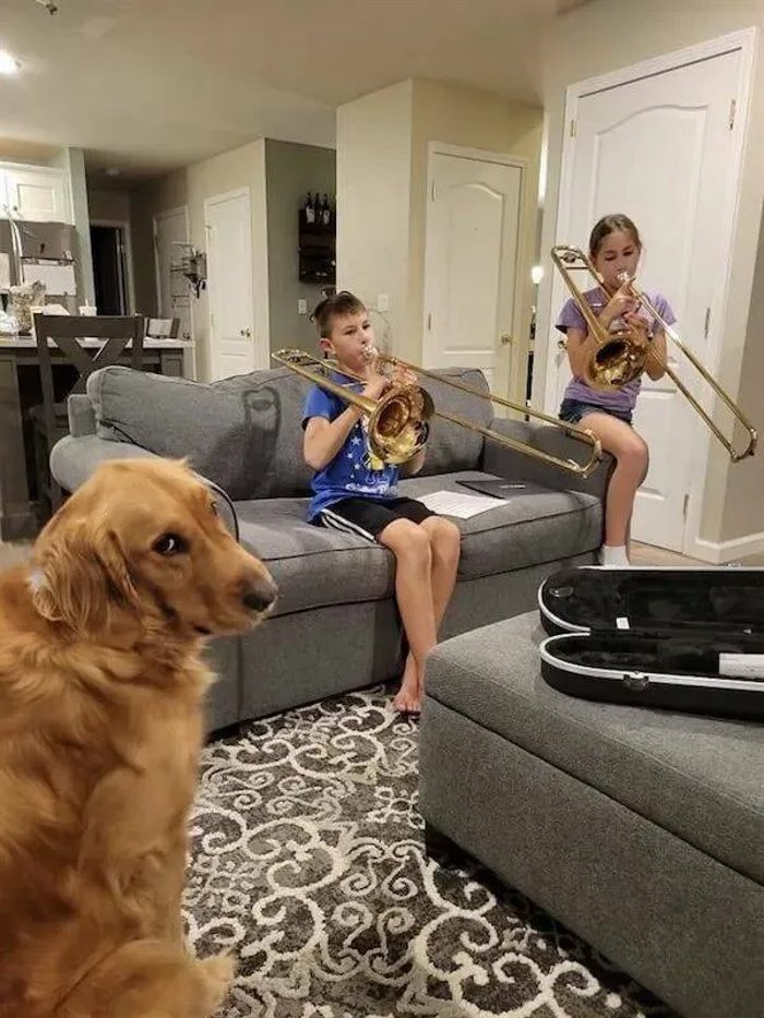 they are just awful