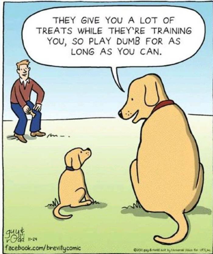 they give you a lot of treats