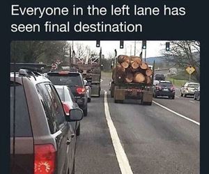 they have all seen it