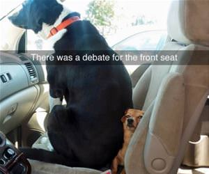 they had a debate funny picture