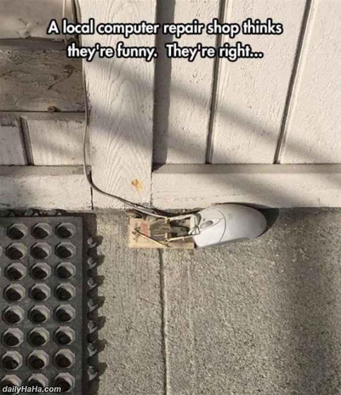 they think they are funny funny picture