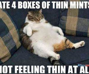 Thin Mints funny picture