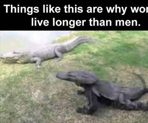 things like this ... 2