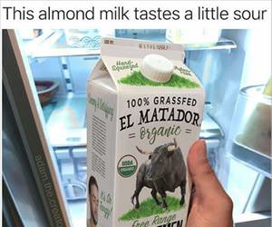 this almond milk