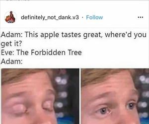this apple tastes great