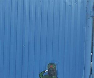 this dog salutes you