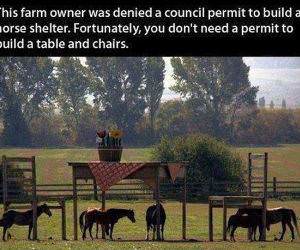 This Farm Owner funny picture