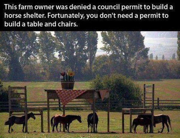 This Farm Owner funny picture