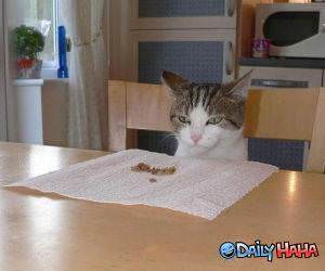 This Food Sucks funny picture