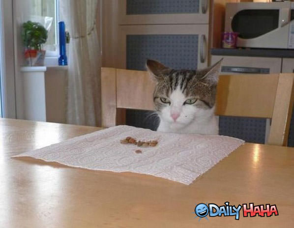 This Food Sucks funny picture