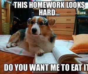 this homework looks hard ... 2