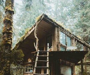 this is a cool place