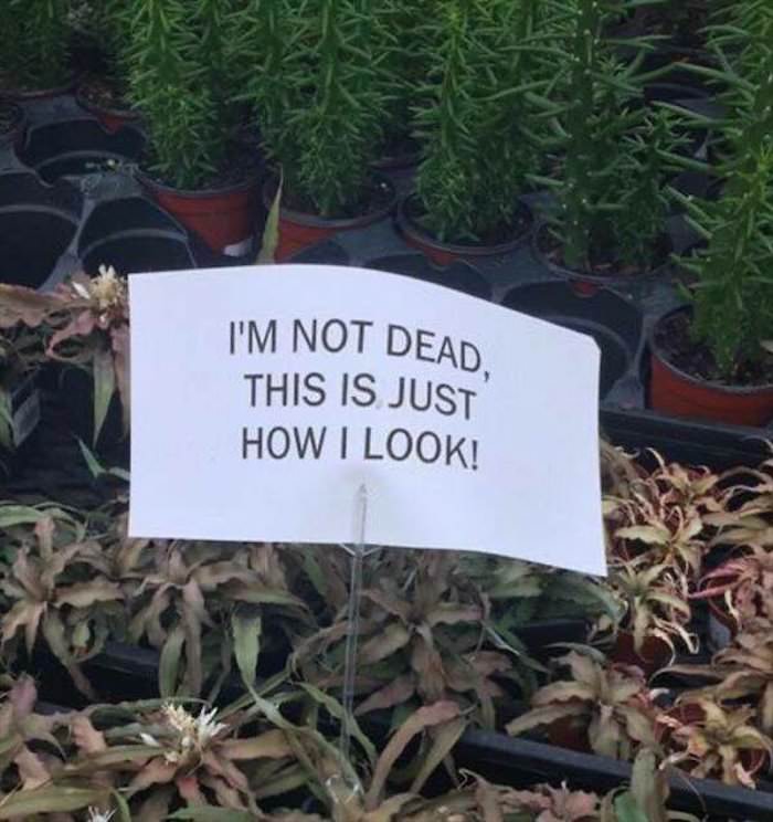 this is just how i look