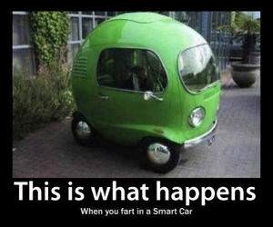 What Farts Happen funny picture