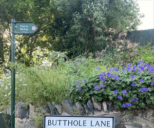 this is where i want to live