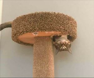 this makes me happy ... 2