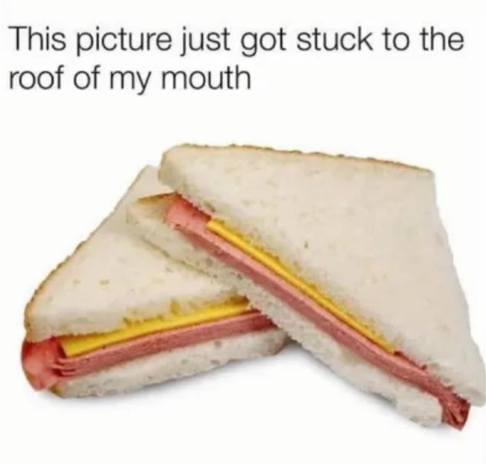 this picture