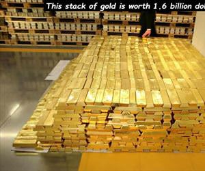 this stack of gold
