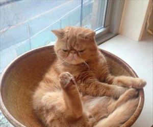 this stuff is awesome