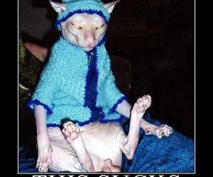 This Sucks funny picture