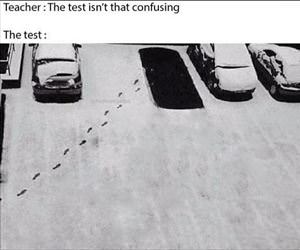 this test is not confusing