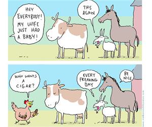 this again funny picture