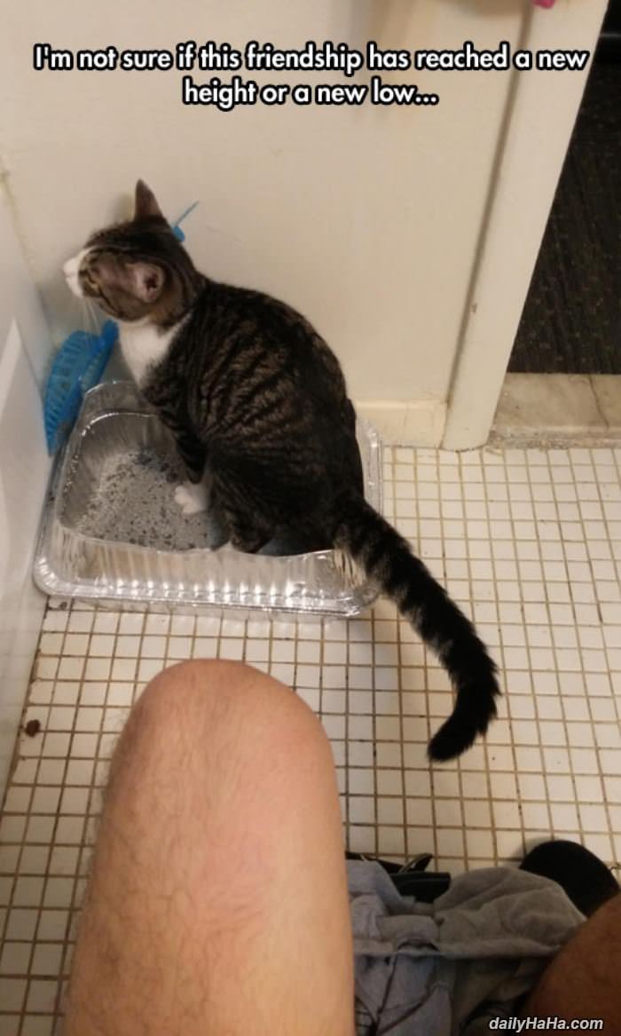 this friendship funny picture